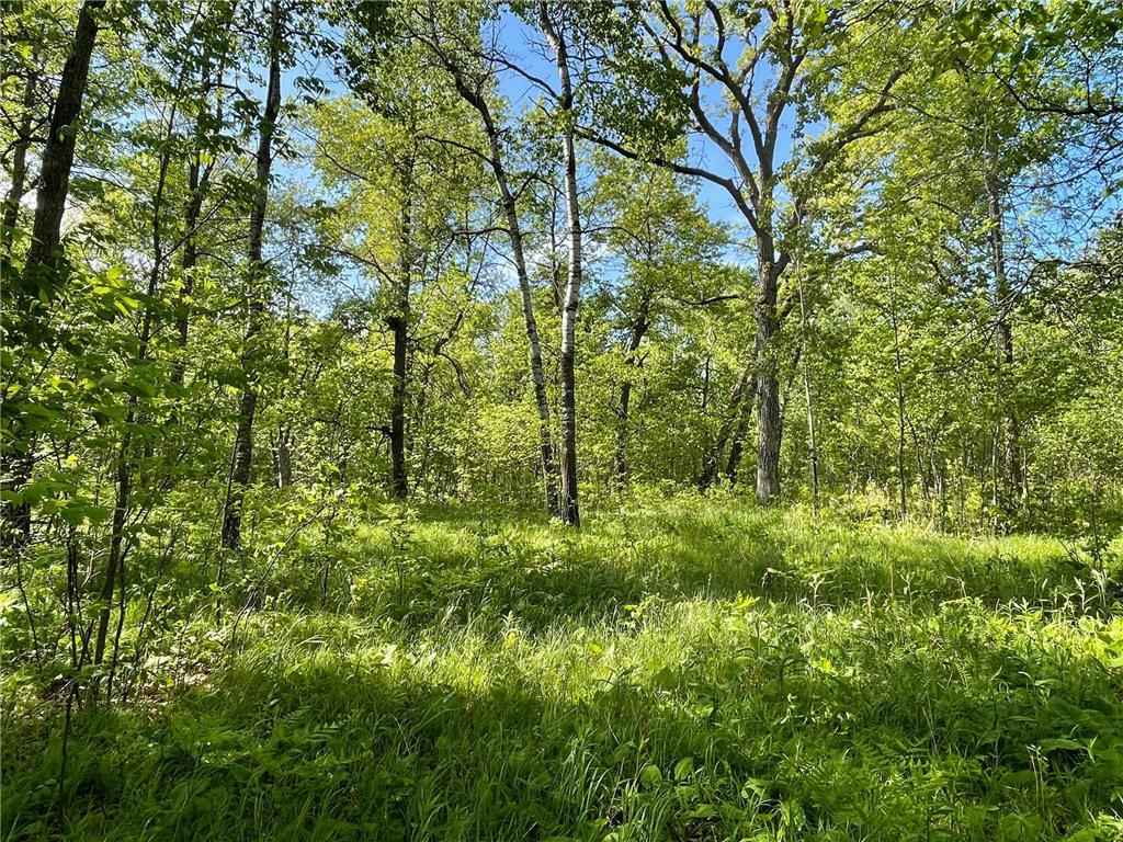 TBD Wedgewood Road NW Walker MN 56484 - Leech Lake 6699704 image14