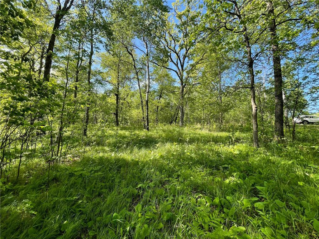 TBD Wedgewood Road NW Walker MN 56484 - Leech Lake 6699704 image15