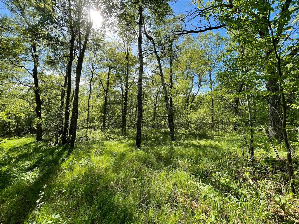 TBD Wedgewood Road NW Walker MN 56484 - Leech Lake 6699704 image16