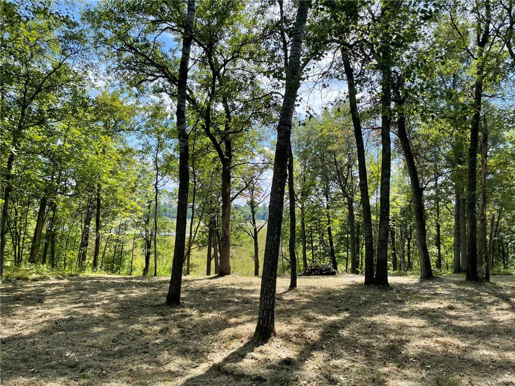 TBD Wedgewood Road NW Walker MN 56484 - Leech Lake 6699704 image4