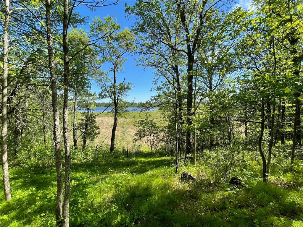 TBD Wedgewood Road NW Walker MN 56484 - Leech Lake 6699704 image9