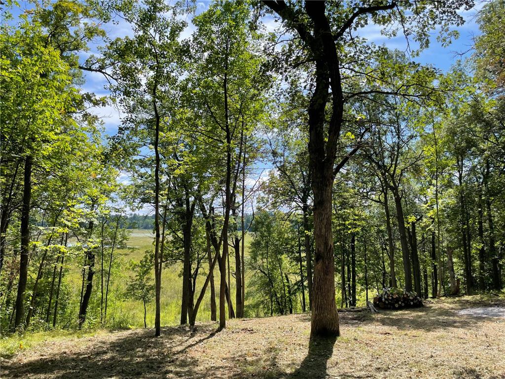 TBD Wedgewood Road NW Walker MN 56484 - Leech Lake 7080417 image1