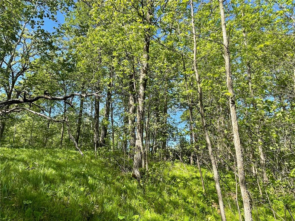 TBD Wedgewood Road NW Walker MN 56484 - Leech Lake 7080417 image10