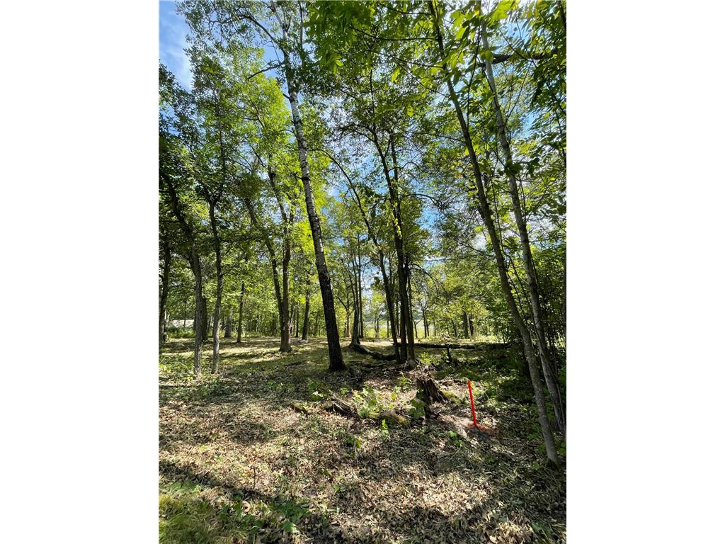 TBD Wedgewood Road NW Walker MN 56484 - Leech Lake 7080417 image2