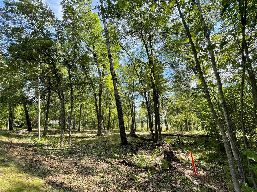 TBD Wedgewood Road NW Walker MN 56484 - Leech Lake 7080417 image3
