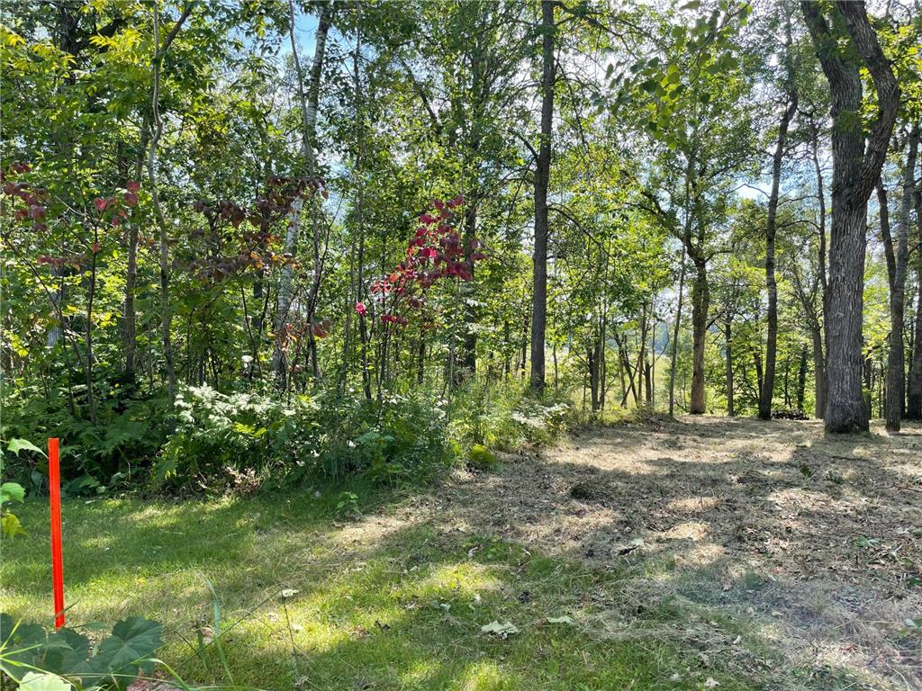 TBD Wedgewood Road NW Walker MN 56484 - Leech Lake 7080417 image4