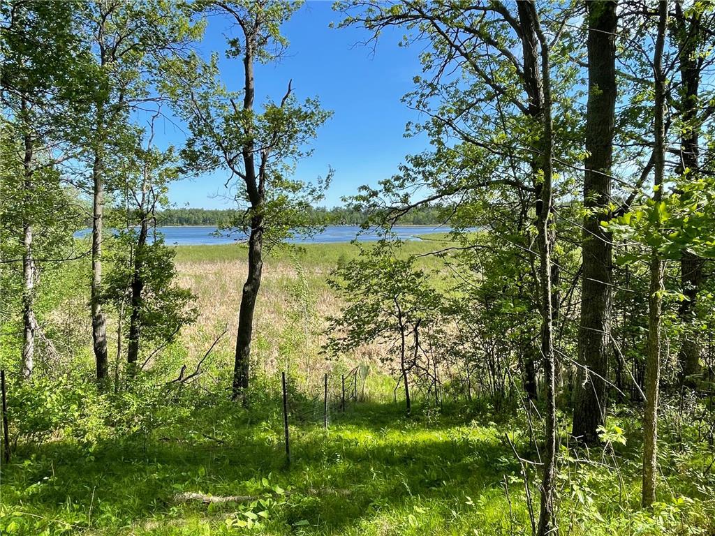 TBD Wedgewood Road NW Walker MN 56484 - Leech Lake 7080417 image9
