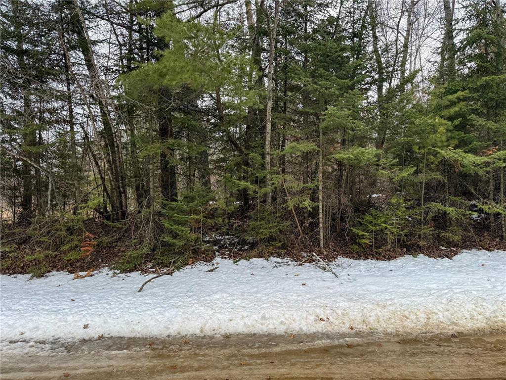 TBD Wejack Road Cass Lake MN 56633 6699947 image1