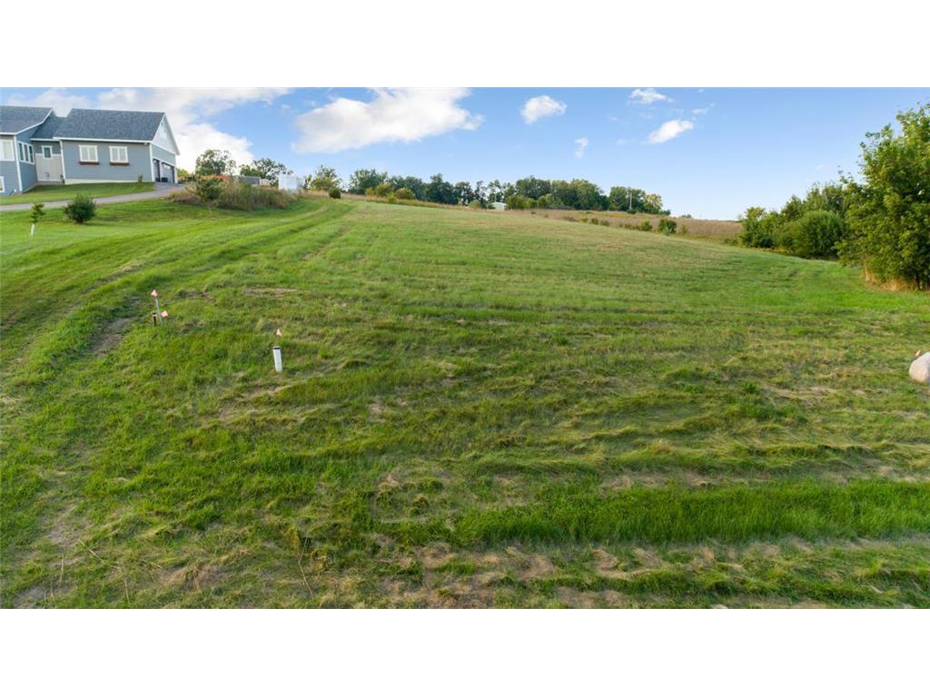 TBD Wells Lake CT Wells Twp MN 55021 - Wells 6789548 image8