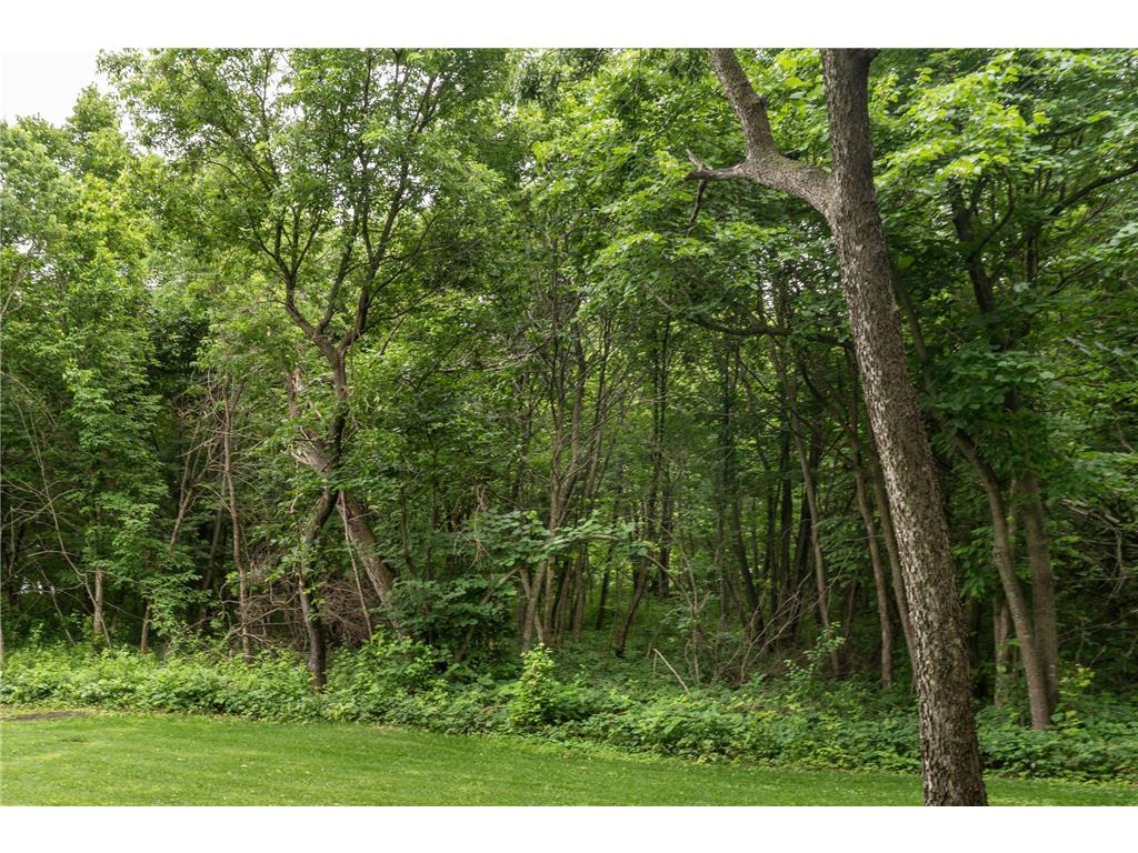 TBD West Point Trail Amor Twp MN 56576 - Otter Tail 6774486 image4