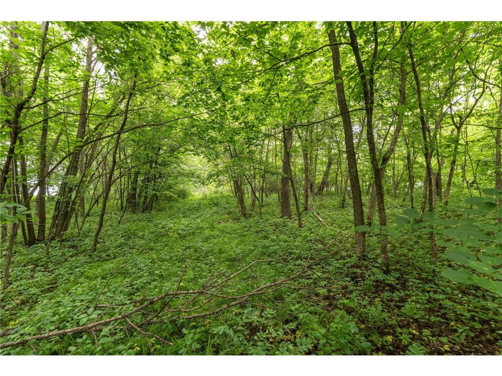 TBD West Point Trail Amor Twp MN 56576 - Otter Tail 6774486 image5