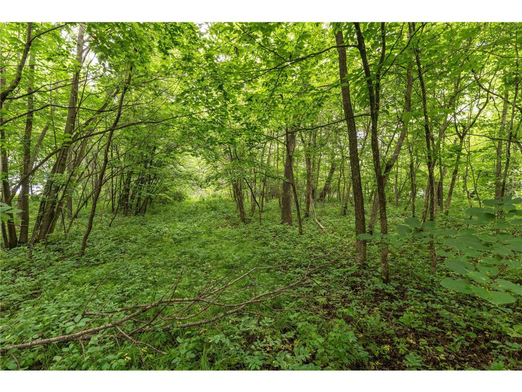TBD West Point Trail Amor Twp MN 56576 - Otter Tail 6774486 image6