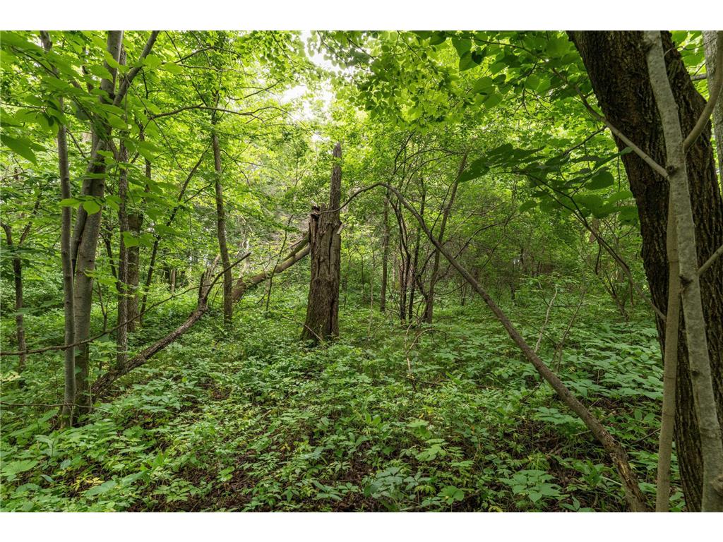 TBD West Point Trail Amor Twp MN 56576 - Otter Tail 6774486 image8