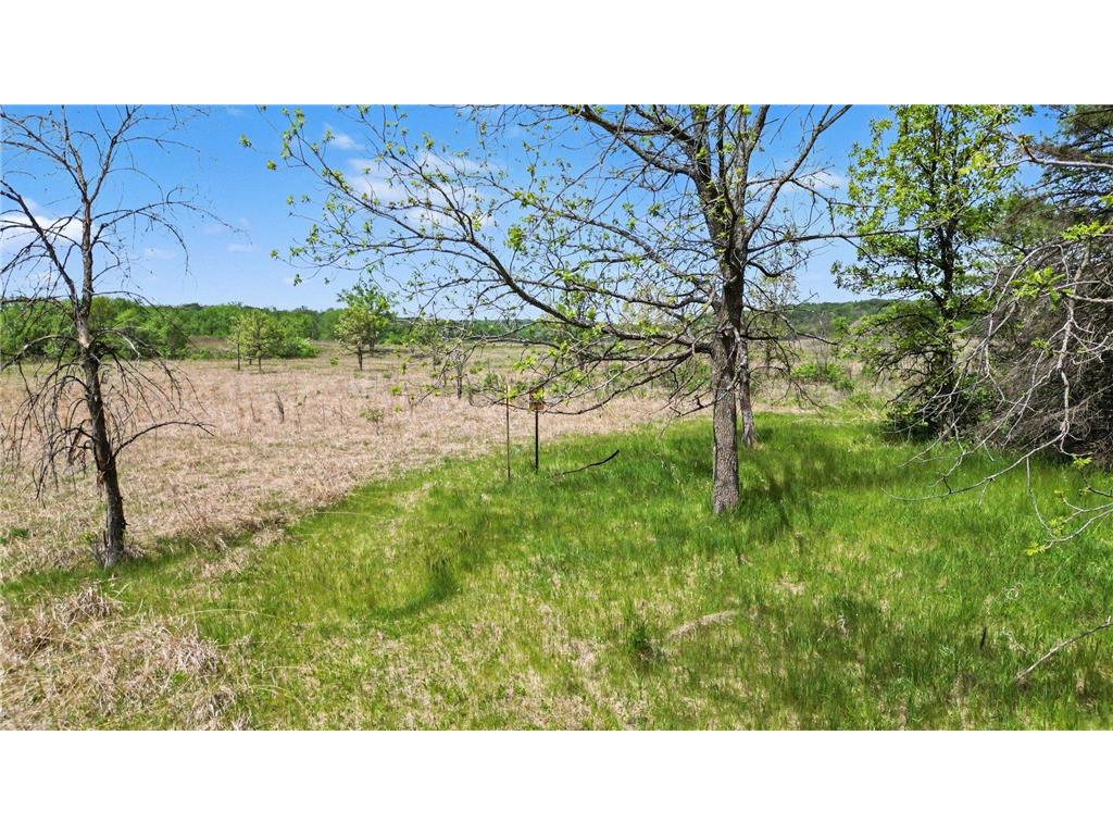 TBD Westervelt Avenue Way Frontenac MN 55026 7071367 image11