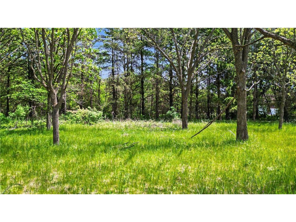 TBD Westervelt Avenue Way Frontenac MN 55026 7071367 image14