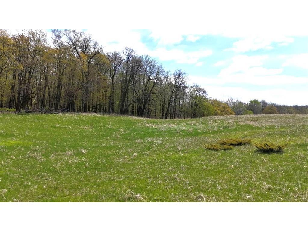 TBD Whiskey Creek Dr Detroit Lakes MN 56501 7092516 image18