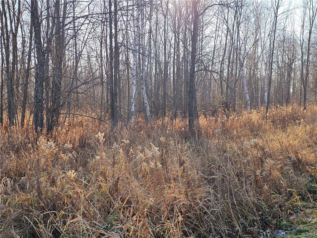 TBD Whistle Road/Hwy 47 Isle MN 56342 6820657 image4