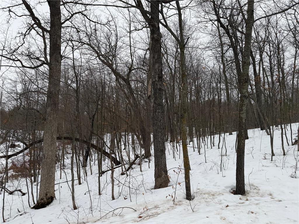 TBD White Fish Road Garrison MN 56450 7009241 image11