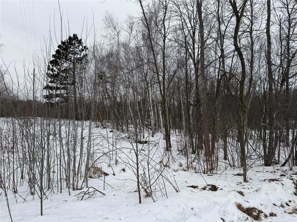 TBD White Fish Road Garrison MN 56450 7009241 image12