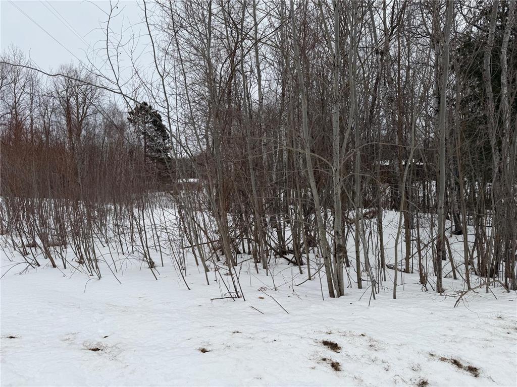 TBD White Fish Road Garrison MN 56450 7009241 image6