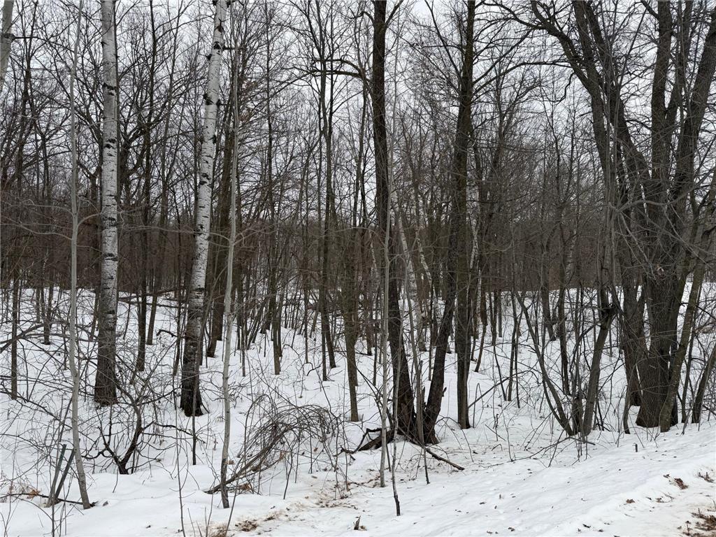 TBD White Fish Road Garrison MN 56450 7009241 image7