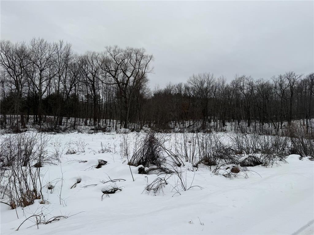 TBD White Fish Road Garrison MN 56450 7009241 image8