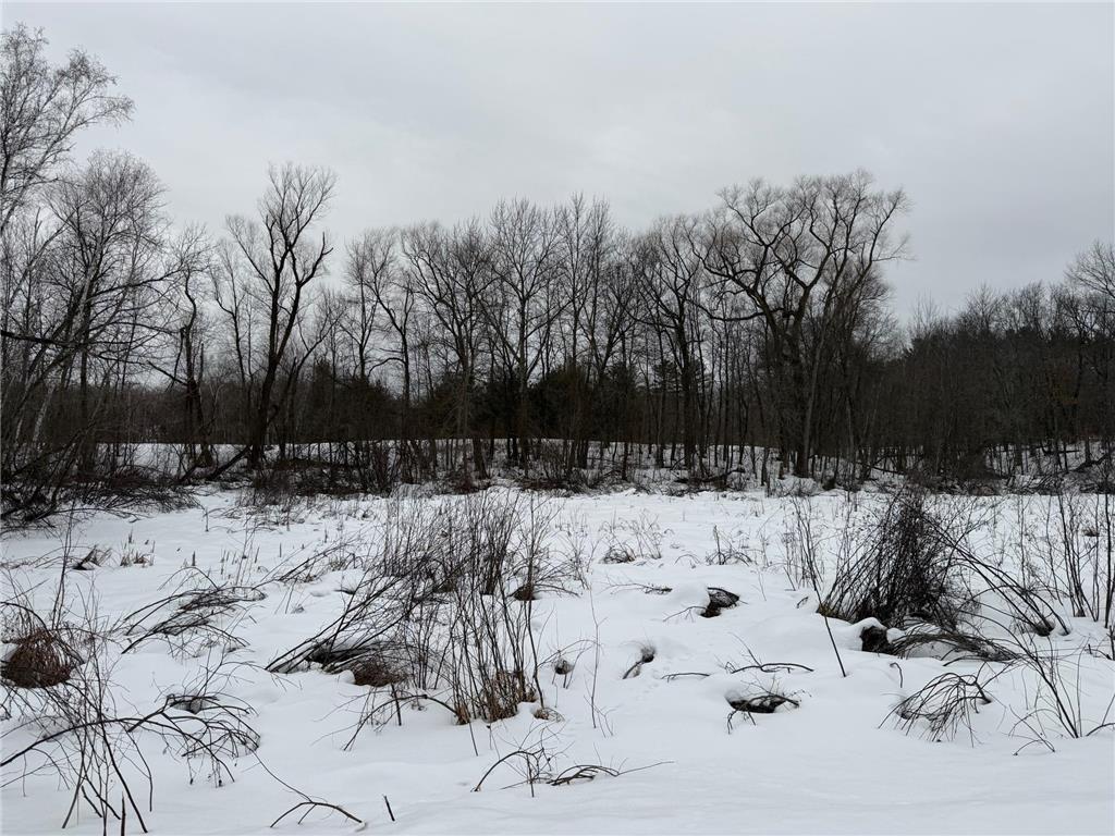 TBD White Fish Road Garrison MN 56450 7009241 image9