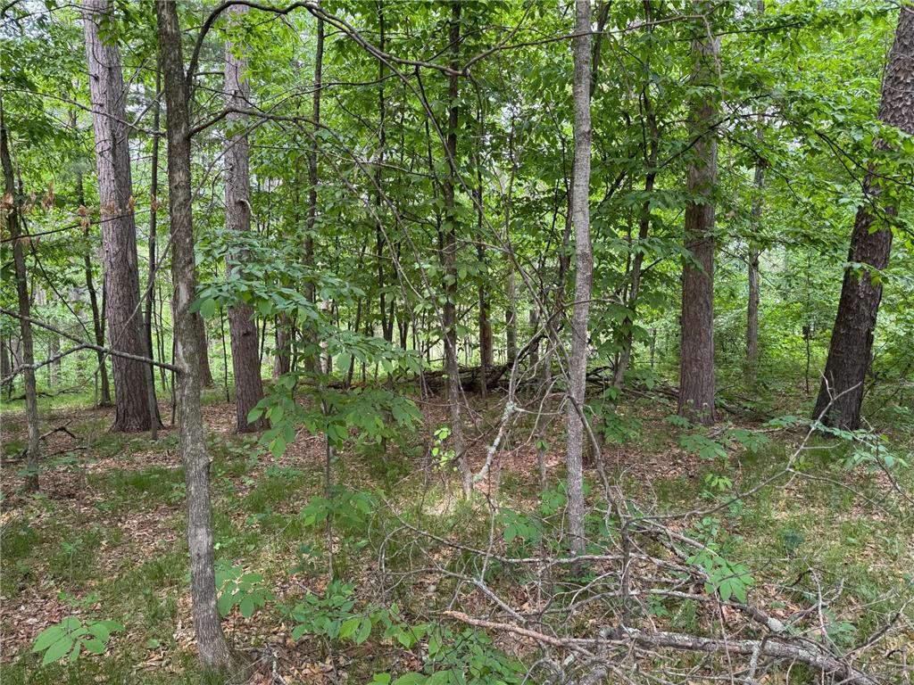 TBD White Overlook Drive Breezy Point MN 56472 6741515 image1