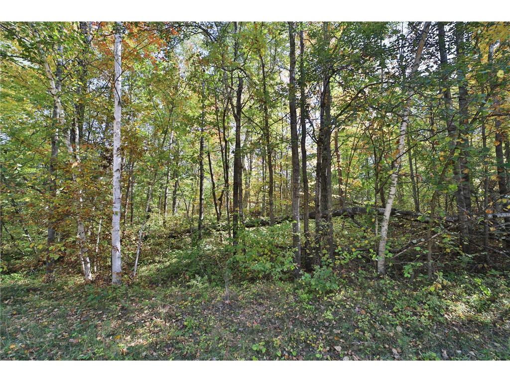 TBD White Overlook Drive Breezy Point MN 56472 6793777 image10