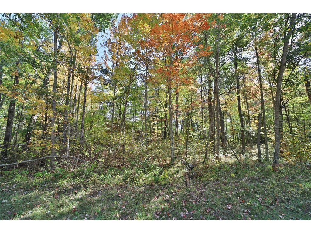 TBD White Overlook Drive Breezy Point MN 56472 6793777 image11