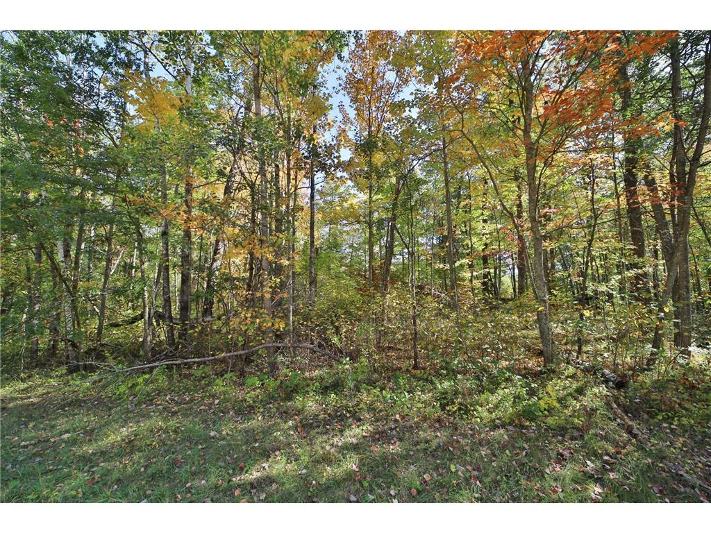 TBD White Overlook Drive Breezy Point MN 56472 6793777 image13