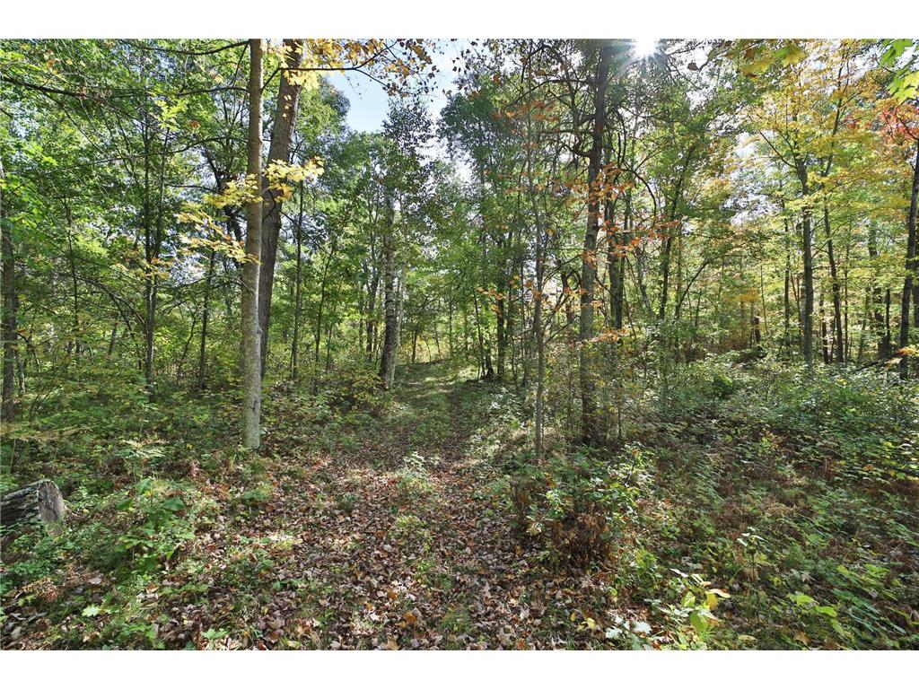 TBD White Overlook Drive Breezy Point MN 56472 6793777 image2