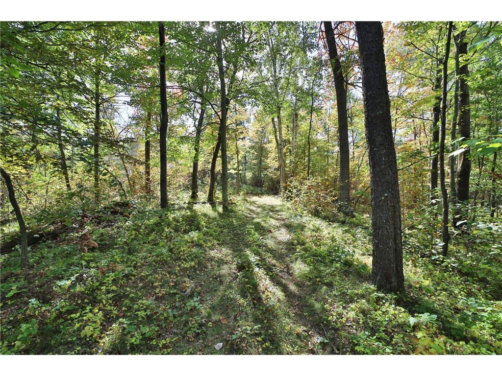 TBD White Overlook Drive Breezy Point MN 56472 6793777 image3