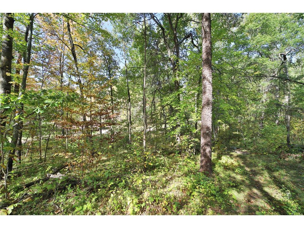TBD White Overlook Drive Breezy Point MN 56472 6793777 image4