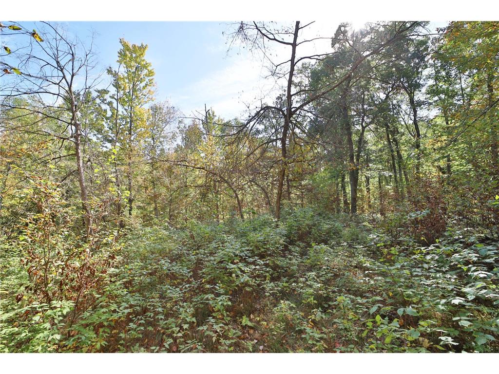 TBD White Overlook Drive Breezy Point MN 56472 6793777 image5