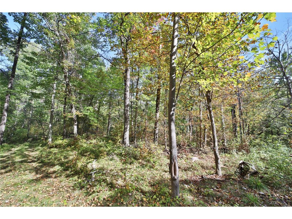 TBD White Overlook Drive Breezy Point MN 56472 6793777 image6