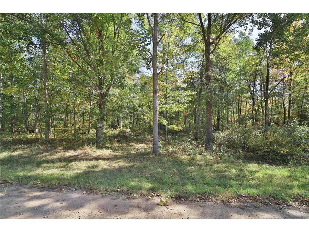 TBD White Overlook Drive Breezy Point MN 56472 6793777 image7