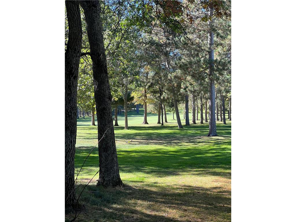TBD White Pine Circle Circle Nisswa MN 56468 6396643 image1