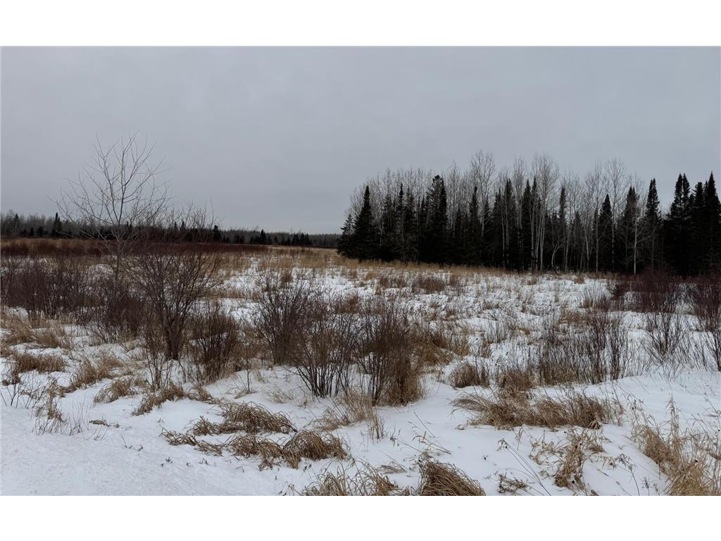 TBD White Road Cherry Twp MN 55768 7036350 image4