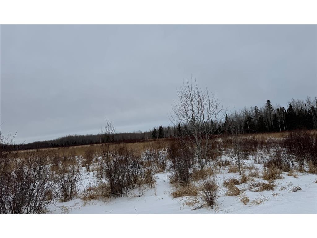 TBD White Road Cherry Twp MN 55768 7036350 image5
