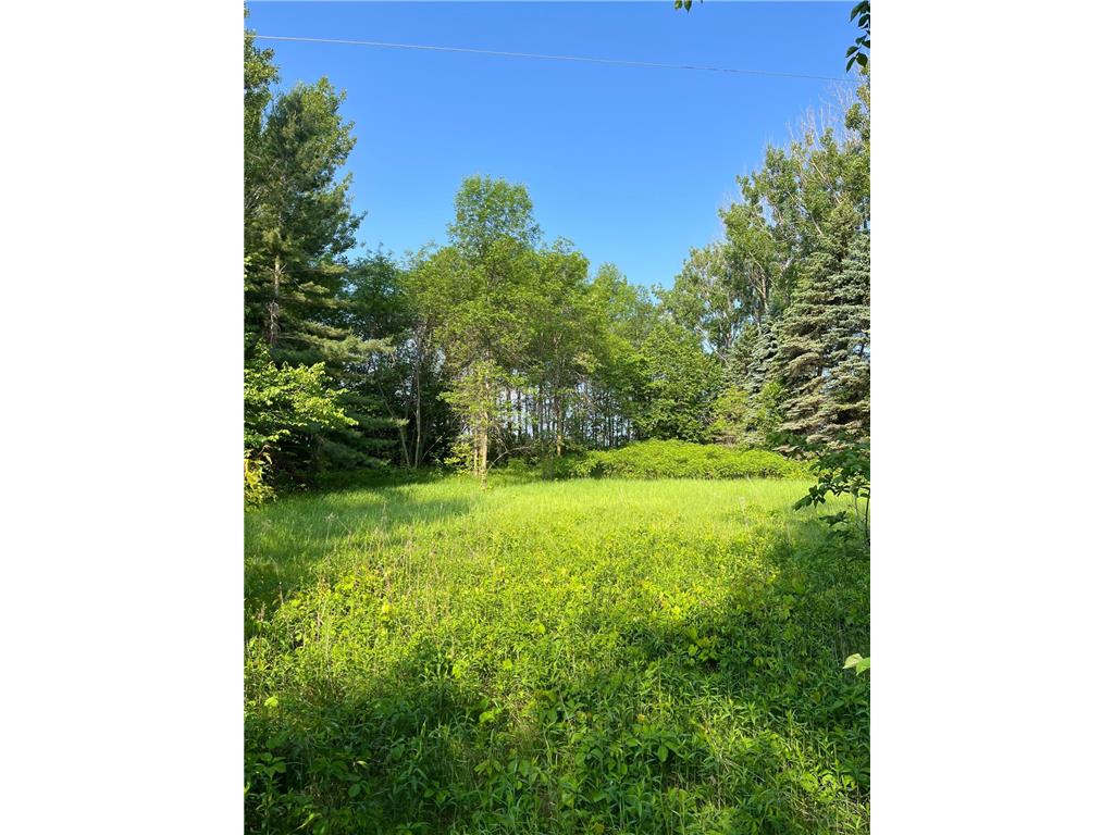 TBD Wild Rose Trail Frazee MN 56544 - Rose Lake 7070759 image1