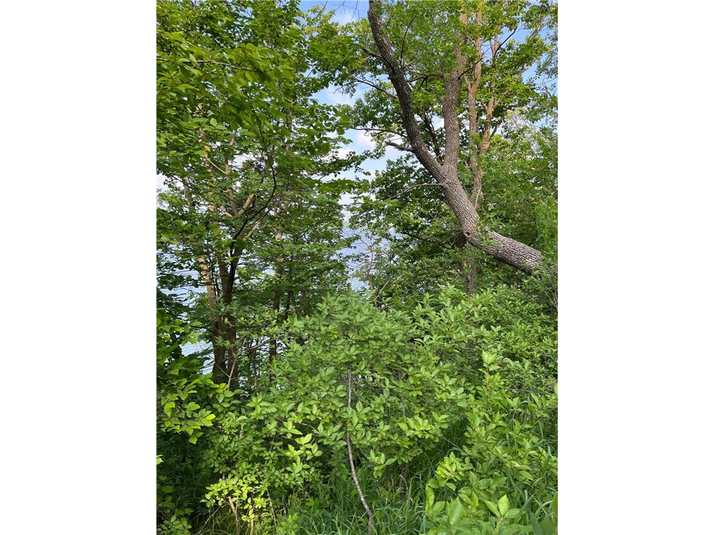 TBD Wild Rose Trail Frazee MN 56544 - Rose Lake 7070759 image13