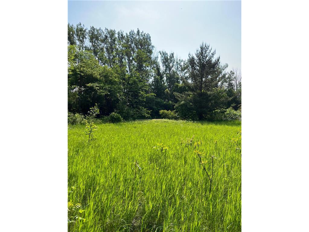 TBD Wild Rose Trail Frazee MN 56544 - Rose Lake 7070759 image14