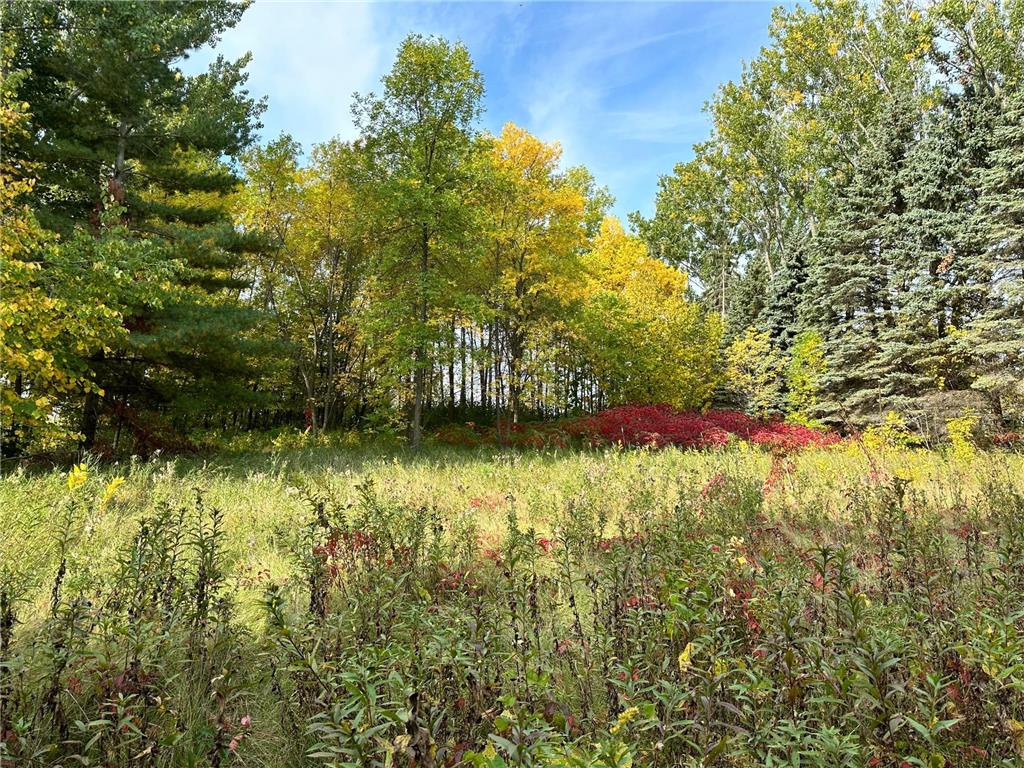 TBD Wild Rose Trail Frazee MN 56544 - Rose Lake 7070759 image17