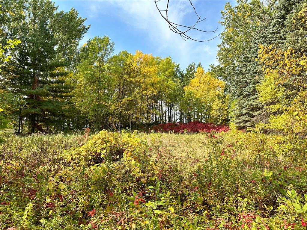 TBD Wild Rose Trail Frazee MN 56544 - Rose Lake 7070759 image18