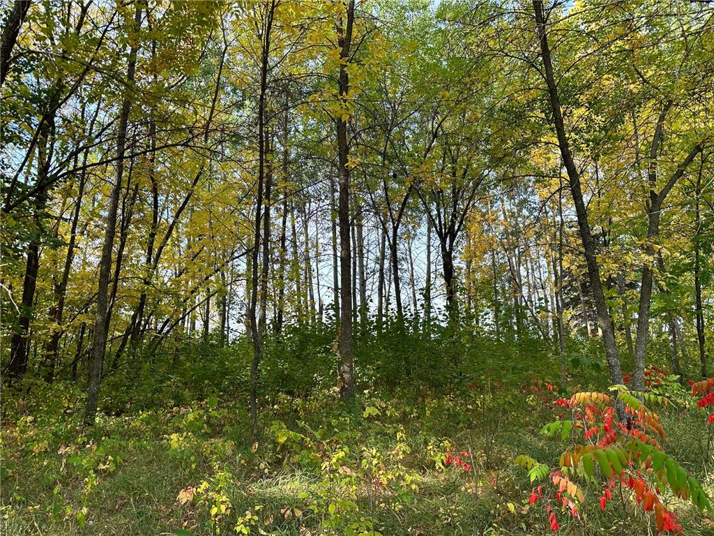 TBD Wild Rose Trail Frazee MN 56544 - Rose Lake 7070759 image19