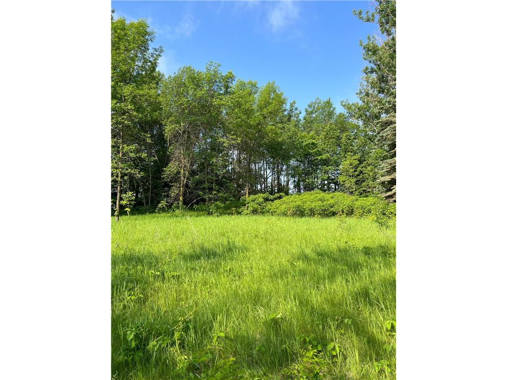 TBD Wild Rose Trail Frazee MN 56544 - Rose Lake 7070759 image2