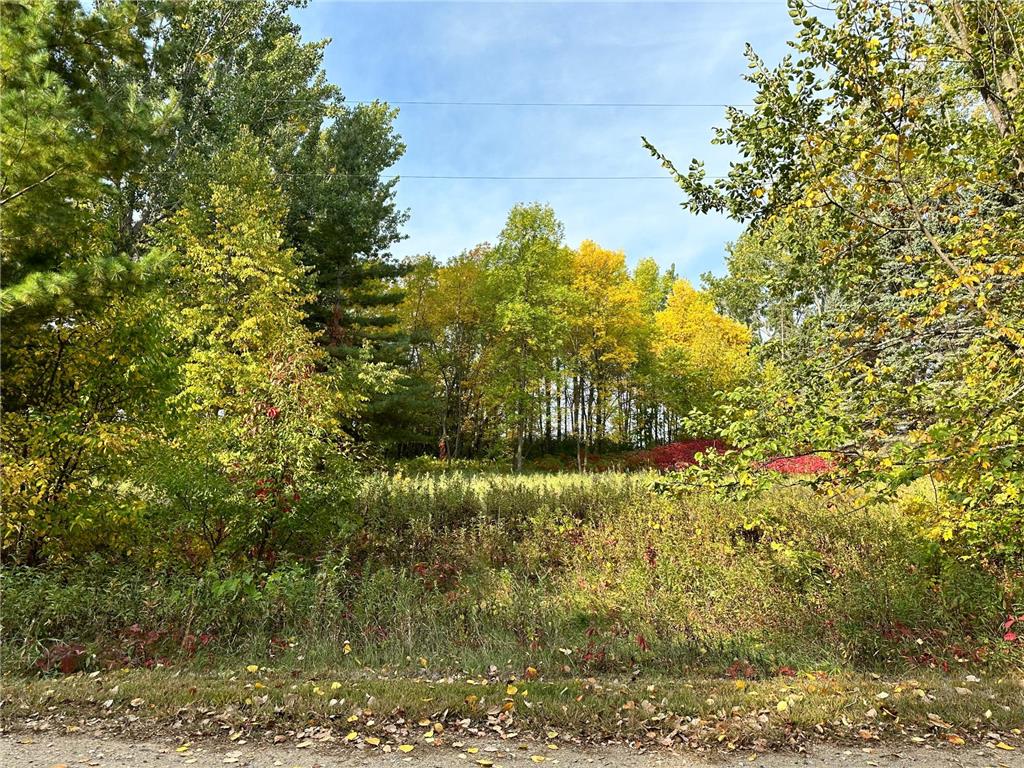 TBD Wild Rose Trail Frazee MN 56544 - Rose Lake 7070759 image22