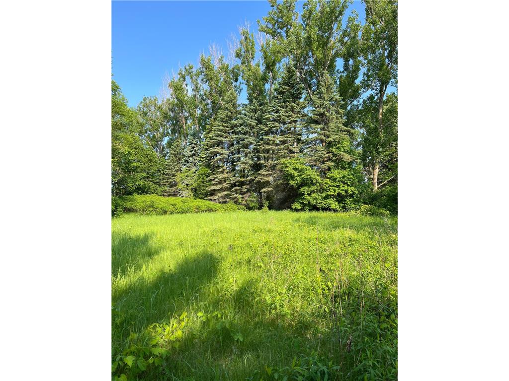TBD Wild Rose Trail Frazee MN 56544 - Rose Lake 7070759 image3