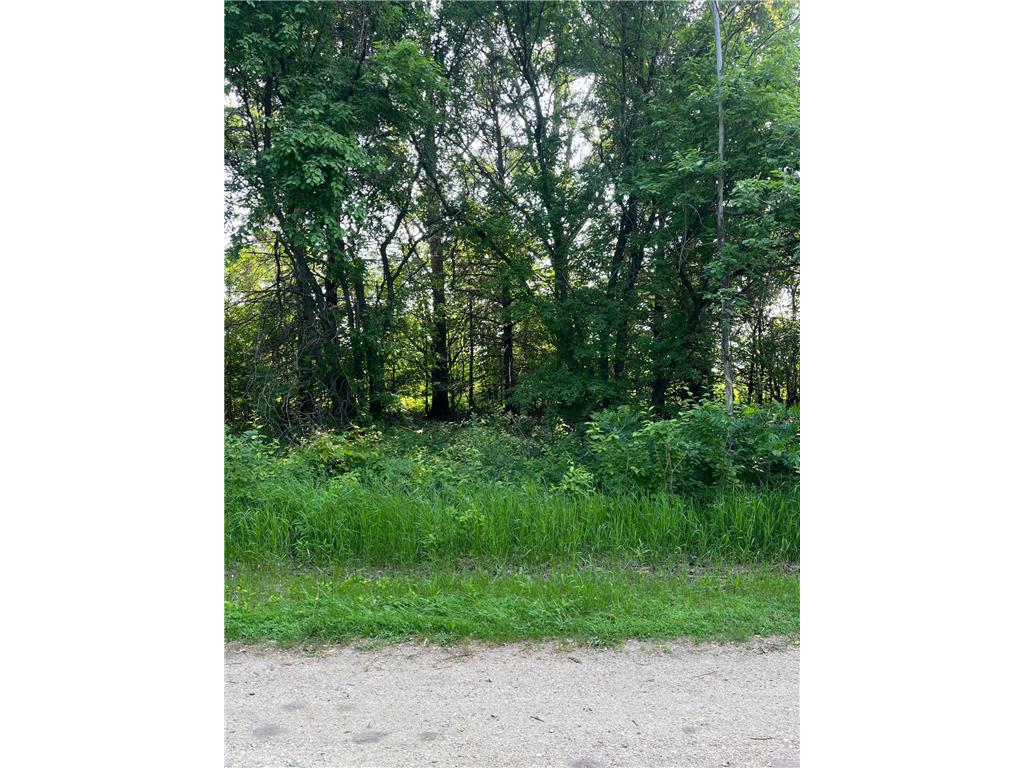 TBD Wild Rose Trail Frazee MN 56544 - Rose Lake 7070759 image4